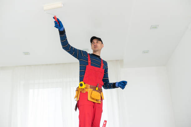 Best Ceiling Painting Services  in USA